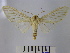  ( - BEVI1384)  @14 [ ] No Rights Reserved (2010) Benoit Vincent Research Collection of Benoit Vincent