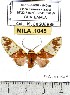  ( - MILA 1045)  @13 [ ] Copyright (2010) Unspecified The Research Collection of Michel Laguerre