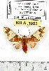  ( - MILA 1052)  @12 [ ] Copyright (2010) Unspecified The Research Collection of Michel Laguerre