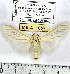  ( - MILA 1057)  @14 [ ] Copyright (2010) Unspecified The Research Collection of Michel Laguerre