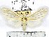  ( - MILA 1060)  @13 [ ] Copyright (2010) Unspecified The Research Collection of Michel Laguerre