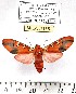  ( - MILA 1155)  @13 [ ] Copyright (2010) Unspecified The Research Collection of Michel Laguerre