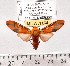  ( - MILA 1164)  @13 [ ] Copyright (2010) Unspecified The Research Collection of Michel Laguerre