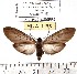  ( - MILA 1178)  @14 [ ] Copyright (2010) Unspecified The Research Collection of Michel Laguerre