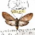  ( - MILA 1179)  @14 [ ] Copyright (2010) Unspecified The Research Collection of Michel Laguerre