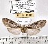  ( - MILA 1180)  @13 [ ] Copyright (2010) Unspecified The Research Collection of Michel Laguerre