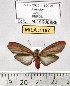  ( - MILA 1197)  @12 [ ] Copyright (2010) Unspecified The Research Collection of Michel Laguerre
