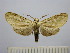  ( - BEVI1507)  @12 [ ] No Rights Reserved (2012) Benoit Vincent Research Collection of Benoit Vincent