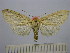  ( - BEVI1512)  @12 [ ] No Rights Reserved (2012) Benoit Vincent Research Collection of Benoit Vincent