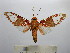  ( - BEVI1585)  @13 [ ] No Rights Reserved (2012) Benoit Vincent Research Collection of Benoit Vincent