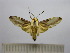  ( - BEVI1589)  @12 [ ] No Rights Reserved (2012) Benoit Vincent Research Collection of Benoit Vincent