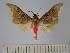  ( - BEVI1725)  @12 [ ] No Rights Reserved  Unspecified Unspecified