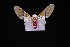  ( - BEVI1784)  @11 [ ] No Rights Reserved (2018) Benoit VINCENT Unspecified