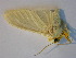  ( - BEVI1868)  @14 [ ] Unspecified (default): All Rights Reserved  Unspecified Unspecified