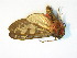  ( - BEVI1871)  @13 [ ] Unspecified (default): All Rights Reserved  Unspecified Unspecified