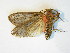  ( - BEVI1873)  @12 [ ] Unspecified (default): All Rights Reserved  Unspecified Unspecified