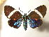  ( - BEVI1884)  @11 [ ] Unspecified (default): All Rights Reserved  Unspecified Unspecified