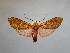  ( - BEVI2301)  @11 [ ] No Rights Reserved (2020) Benoit VINCENT Unspecified