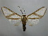  ( - BEVI2373)  @11 [ ] No Rights Reserved (2022) Benoit VINCENT Unspecified