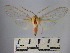  ( - BEVI1631)  @14 [ ] No Rights Reserved (2012) Benoit Vincent Research Collection of Benoit Vincent
