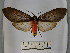  ( - BEVI1653)  @12 [ ] No Rights Reserved (2012) Benoit Vincent Research Collection of Benoit Vincent