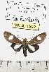  ( - MILA 1592)  @12 [ ] Unspecified (default): All Rights Reserved  Unspecified Unspecified