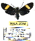  ( - MILA 2004)  @13 [ ] Unspecified (default): All Rights Reserved  Unspecified Unspecified
