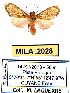  ( - MILA 2028)  @13 [ ] Unspecified (default): All Rights Reserved  Unspecified Unspecified