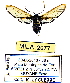  ( - MILA 2077)  @14 [ ] Unspecified (default): All Rights Reserved  Unspecified Unspecified