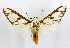  ( - MILA 2118)  @13 [ ] Unspecified (default): All Rights Reserved  Unspecified Unspecified