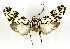  ( - MILA 2156)  @13 [ ] Unspecified (default): All Rights Reserved  Unspecified Unspecified