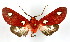  ( - MILA 2183)  @11 [ ] Unspecified (default): All Rights Reserved  Unspecified Unspecified