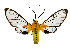  ( - MILA 2375)  @11 [ ] by-nc-sa (2007) M. Laguerre Unspecified