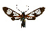  ( - MILA 2383)  @11 [ ] by-nc-sa (2007) M. Laguerre Unspecified
