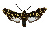  ( - MILA 2387)  @11 [ ] by-nc-sa (2007) M. Laguerre Unspecified