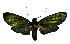  ( - MILA 2402)  @11 [ ] by-nc-sa (2007) M. Laguerre Unspecified