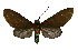  ( - MILA 2423)  @11 [ ] by-nc-sa (2007) M. Laguerre Unspecified