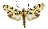  ( - MILA 2437)  @11 [ ] by-nc-sa (2007) M. Laguerre Unspecified
