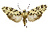  ( - MILA 2439)  @11 [ ] by-nc-sa (2007) M. Laguerre Unspecified