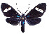  ( - MILA2568)  @11 [ ] by-nc-sa (2007) M. Laguerre Unspecified