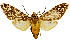  ( - MILA2579)  @11 [ ] by-nc-sa (2007) M. Laguerre Unspecified