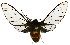  ( - MILA2584)  @11 [ ] by-nc-sa (2007) M. Laguerre Unspecified