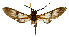  ( - MILA2595)  @11 [ ] by-nc-sa (2007) M. Laguerre Unspecified