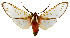  ( - MILA2606)  @11 [ ] by-nc-sa (2007) M. Laguerre Unspecified