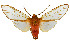  ( - MILA2639)  @11 [ ] by-nc-sa (2007) M. Laguerre Unspecified