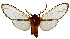  ( - MILA2644)  @11 [ ] by-nc-sa (2007) M. Laguerre Unspecified