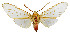  ( - MILA2649)  @11 [ ] by-nc-sa (2007) M. Laguerre Unspecified