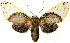  ( - MILA2490)  @11 [ ] by-nc-sa (2007) M. Laguerre Unspecified