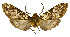  ( - MILA2510)  @11 [ ] by-nc-sa (2007) M. Laguerre Unspecified
