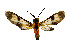  ( - MILA2552)  @11 [ ] by-nc-sa (2007) M. Laguerre Unspecified
